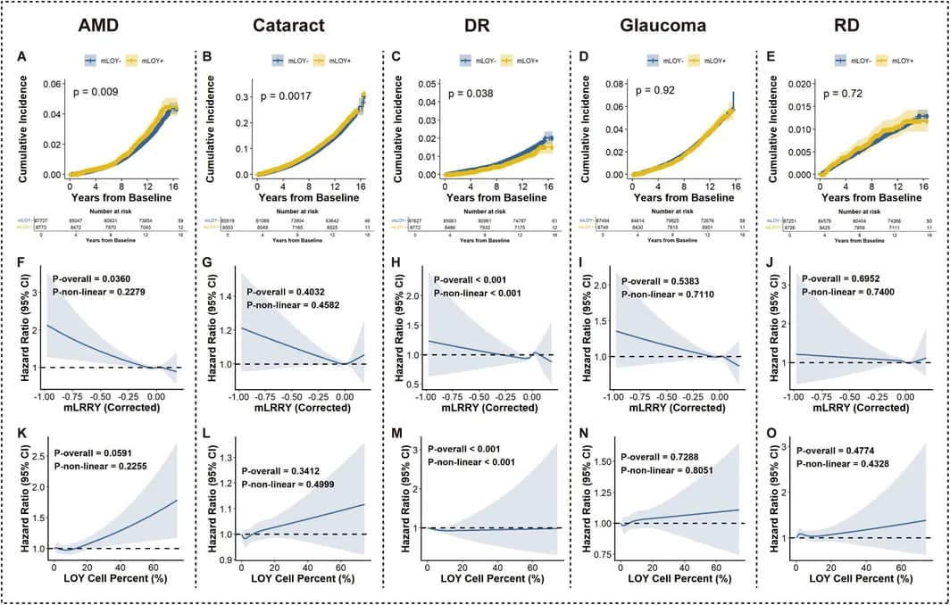 Longitudinal association and dose–response relationship between mLOY and ophthalmic conditions.