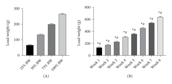 Figure 1. Resistance training load during acute and chronic resistance training.