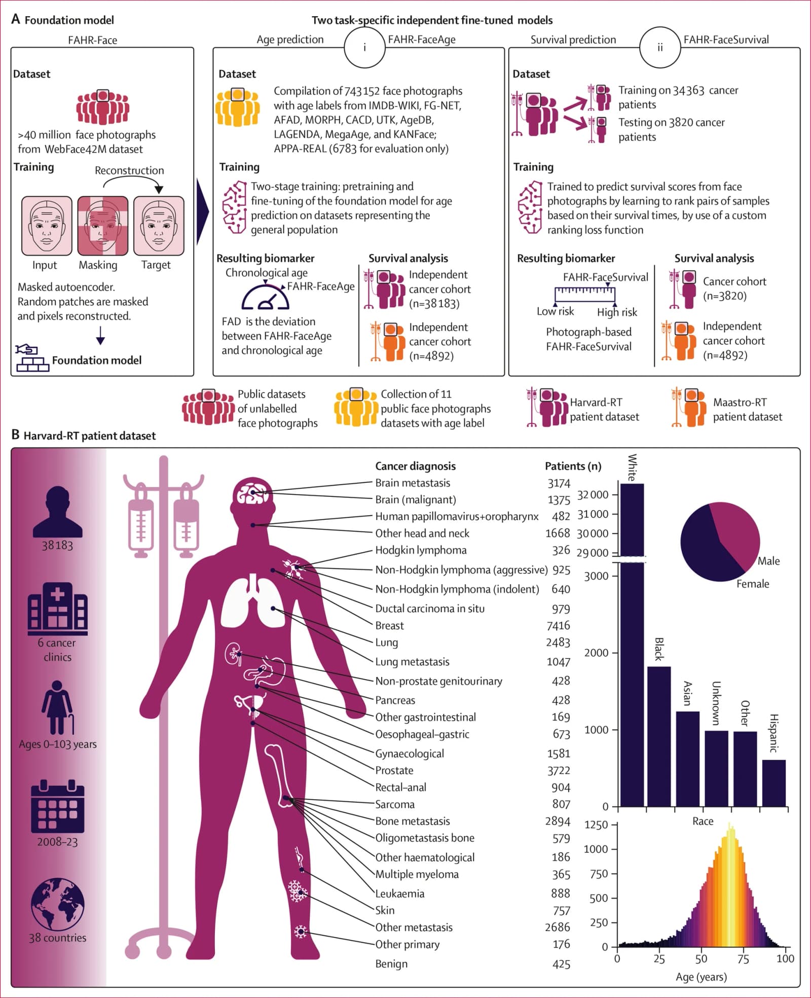 Figure 1 from The Lancet Digital Health