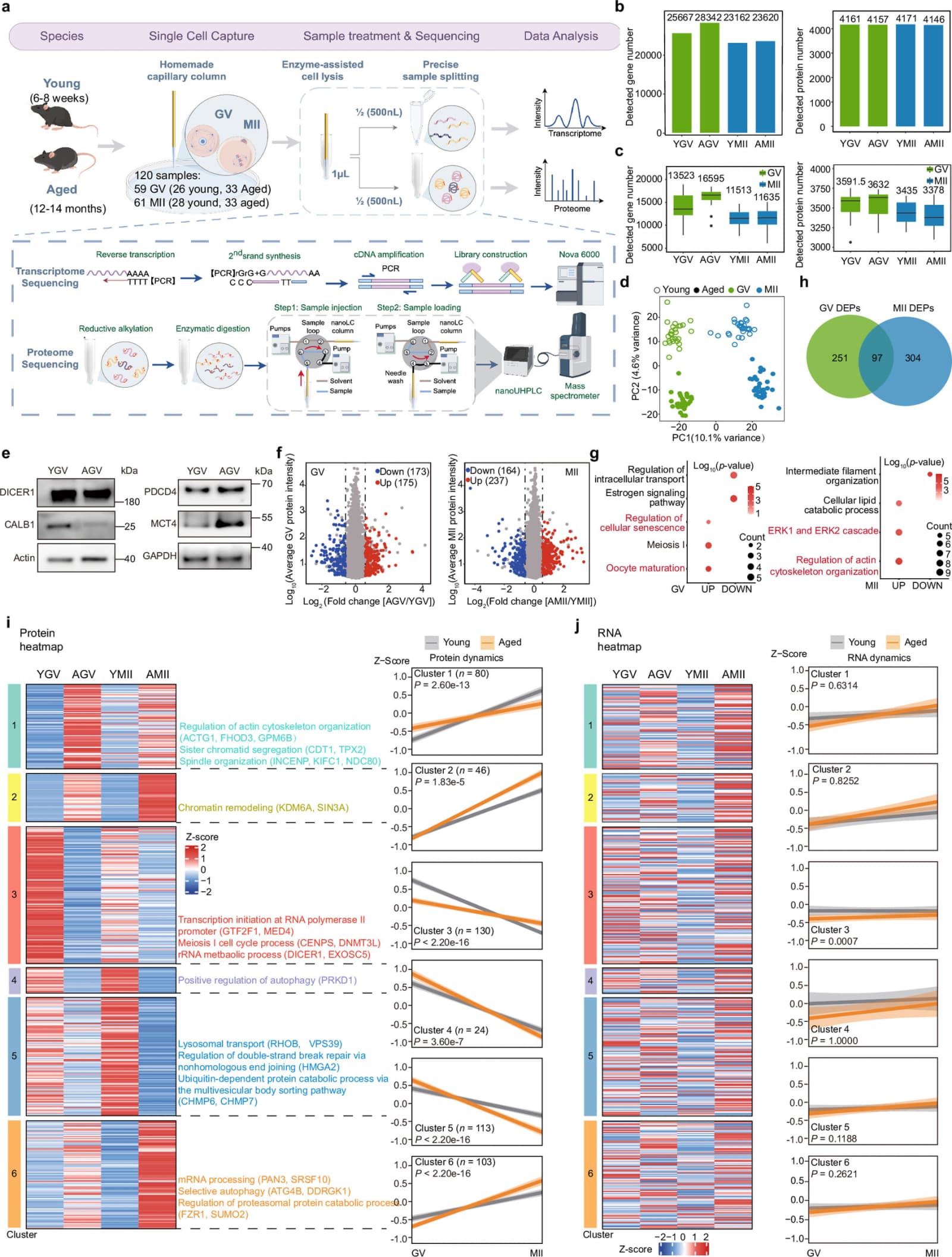 Figure 1 from Nature Communications