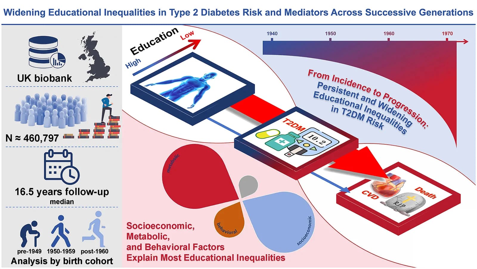 Graphical abstract. Widening educational inequalities in type 2 diabetes risk and mediators across successive generations.