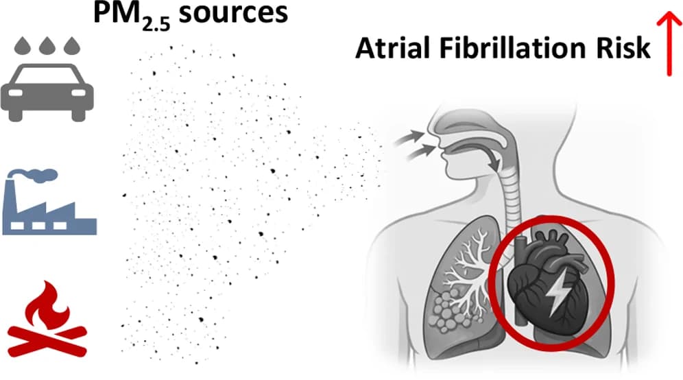 Graphical abstract from Environment & Health
