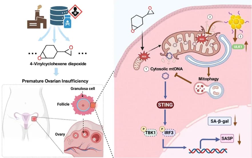 Graphical abstract from Environment & Health