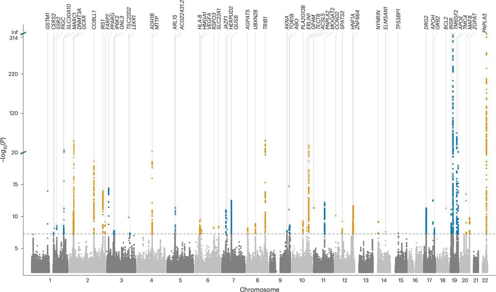 Figure 1 from Nature Genetics
