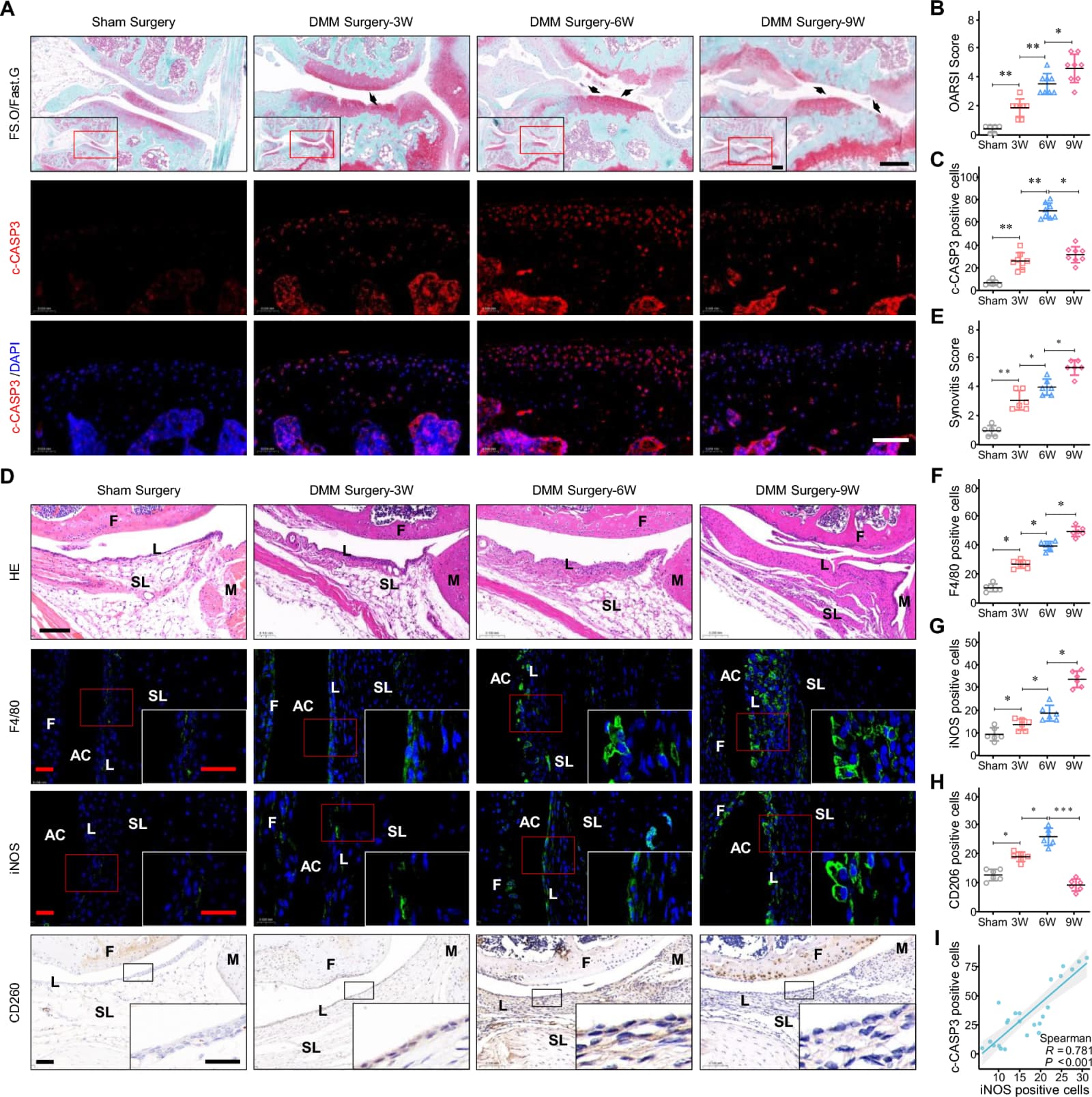 Figure 1 from Journal of Nanobiotechnology