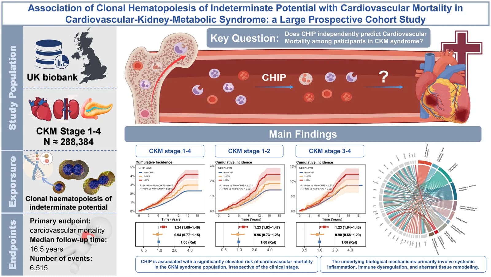 Graphical abstract from Frontiers in Endocrinology