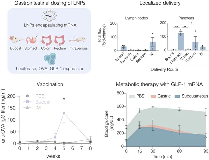 Graphical abstract from ACS Nano