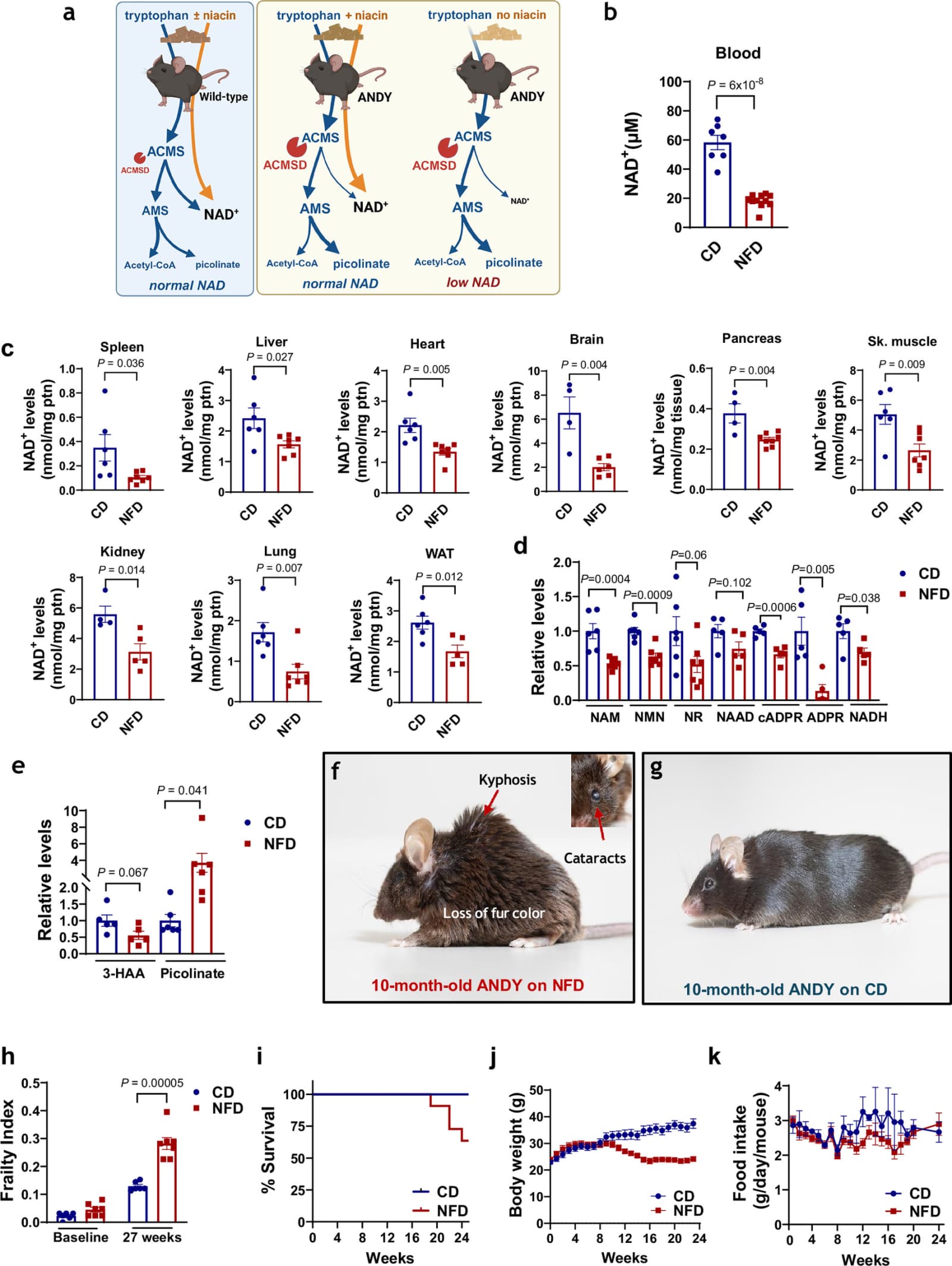 Figure 1 from Nature Communications