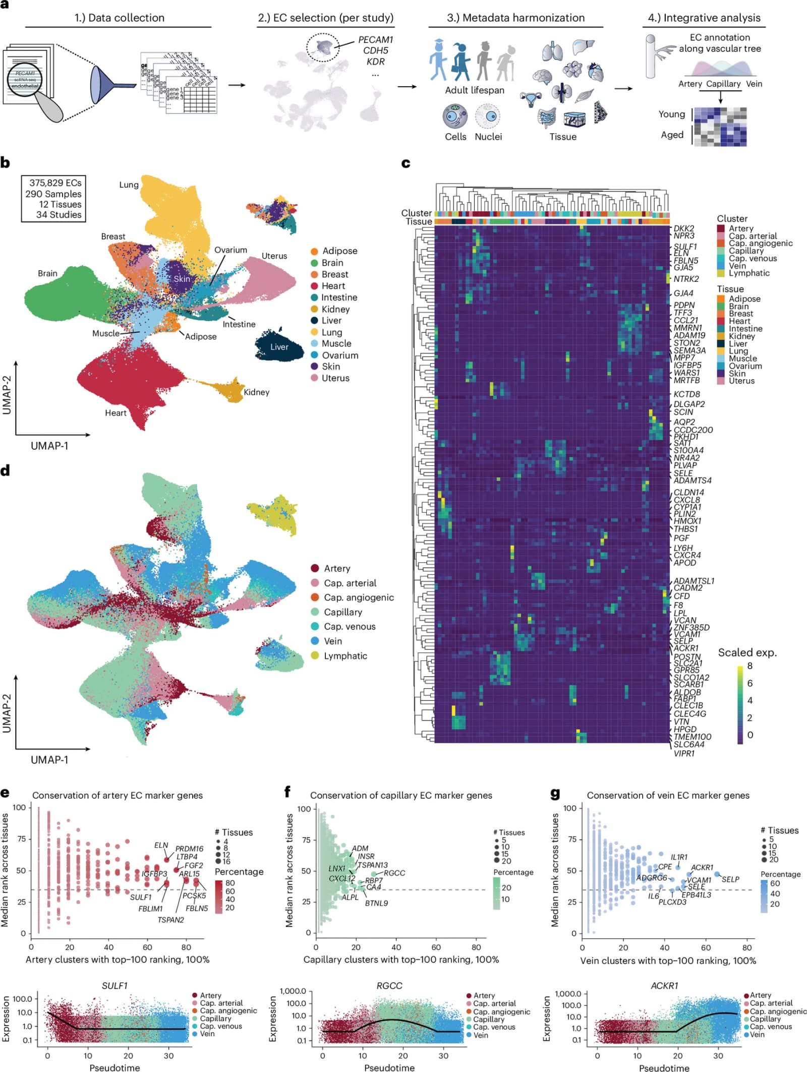 Figure 1 from Nature Aging