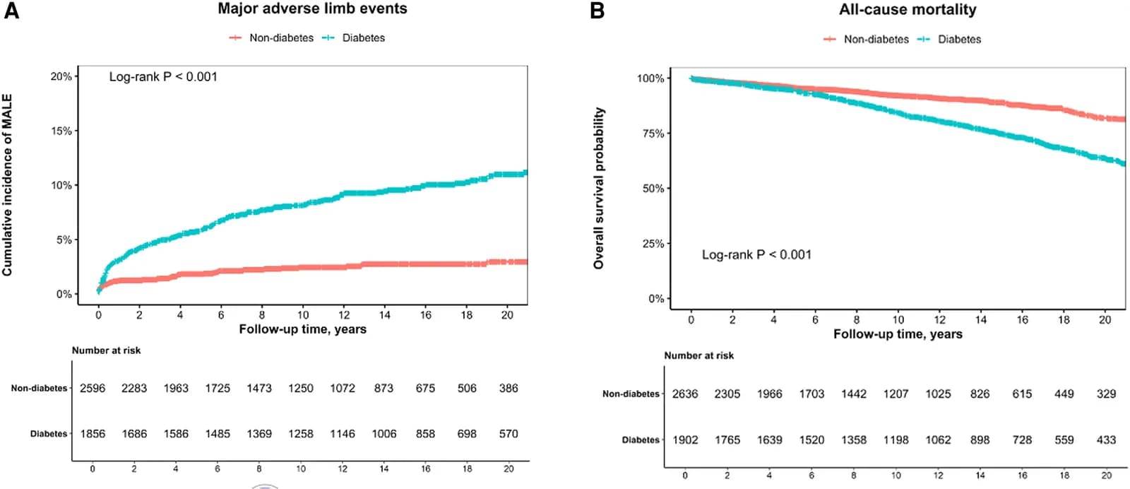 Figure 1. (A and B) Kaplan–Meier analysis of major adverse limb events and all-cause mortality stratified by diabetes status.