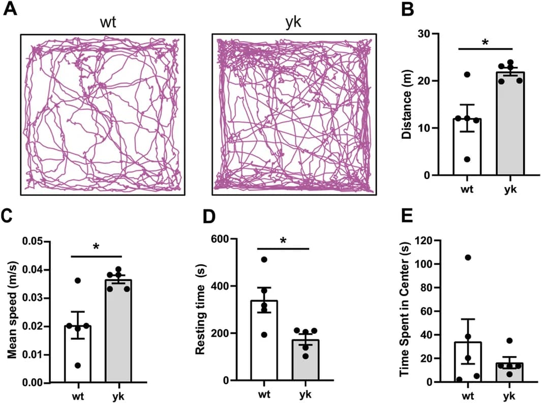 Figure 1. Partial cellular reprogramming impact on behavior.