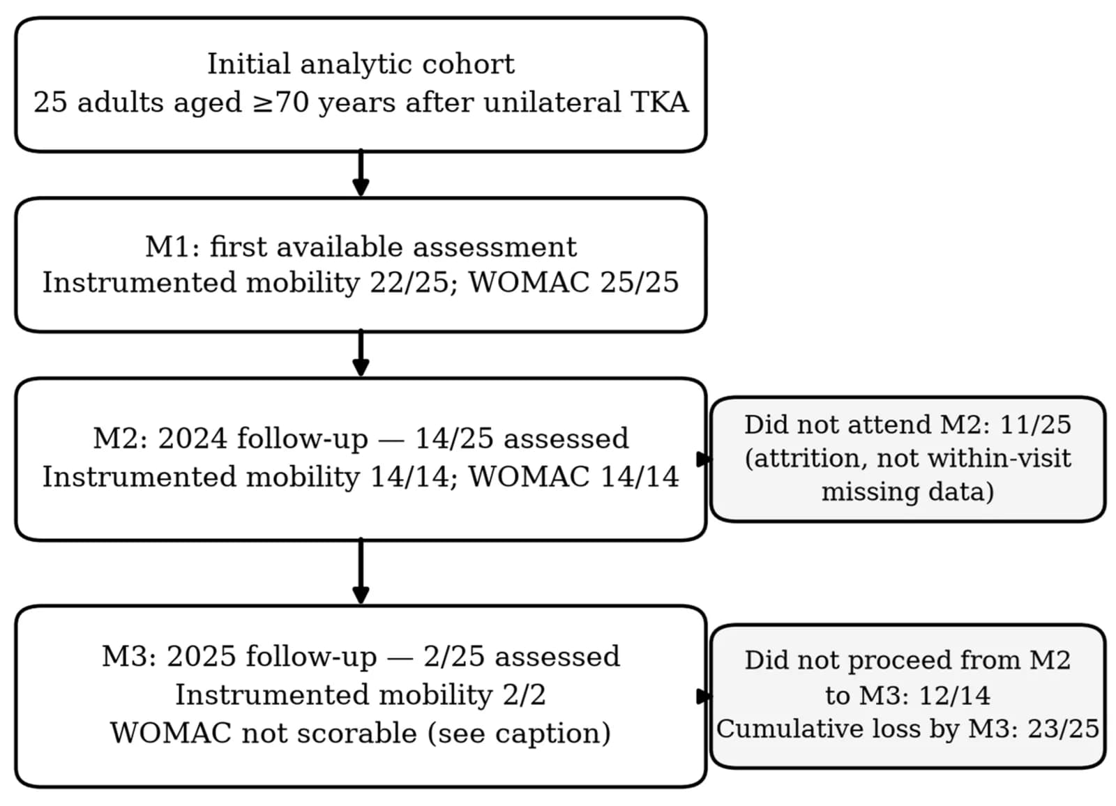 Participant flow through the three assessment time points.