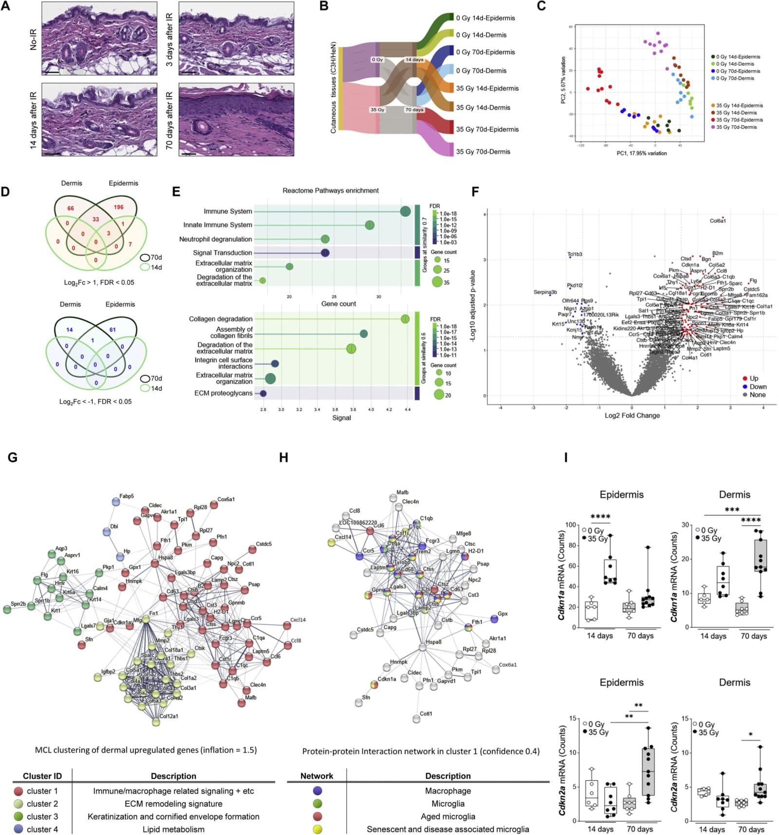 Figure 1 from International Journal of Radiation Oncology, Biology, Physics