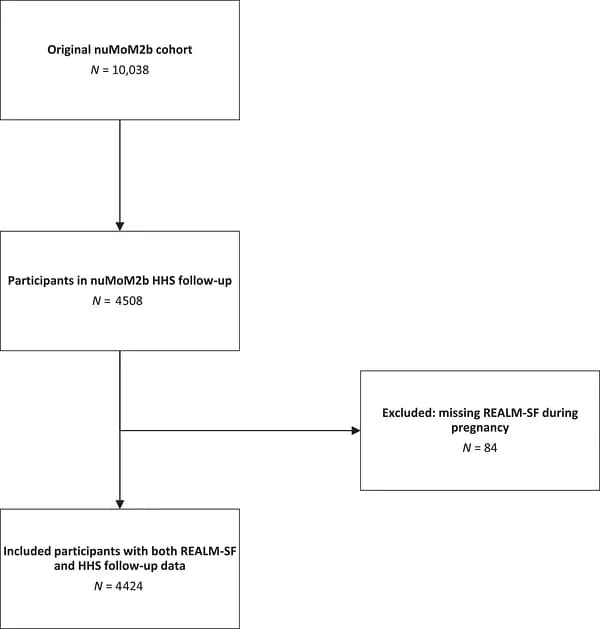 Study cohort flow diagram.