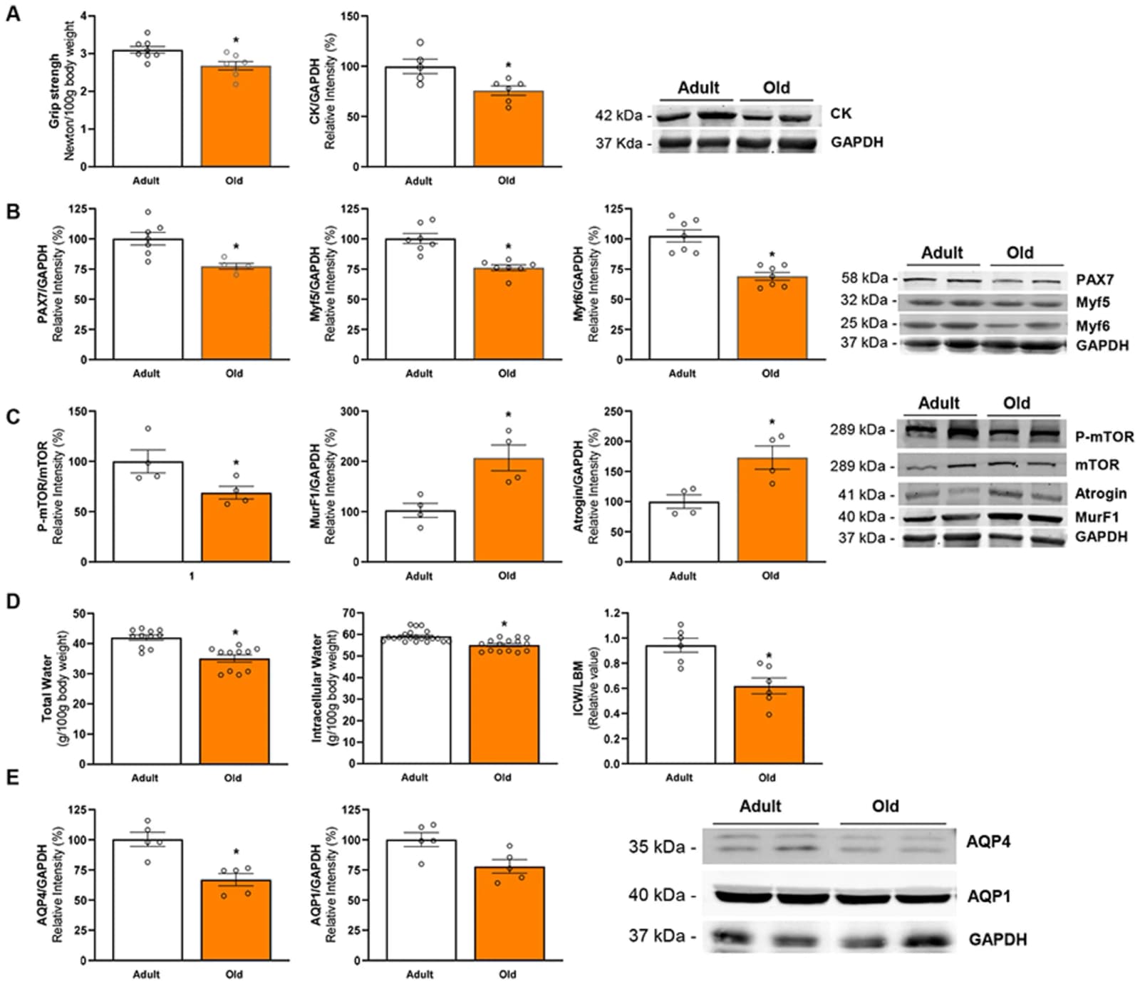 Figure 1 from Journal of Cachexia, Sarcopenia and Muscle