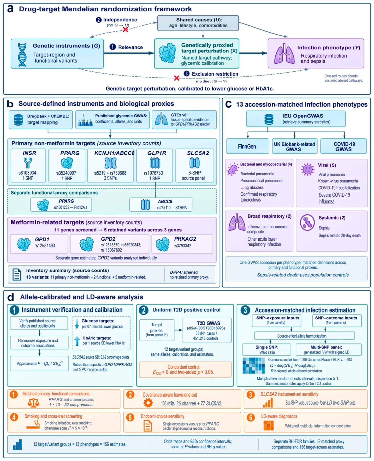 Study design and analytical workflow for drug-target Mendelian randomization.