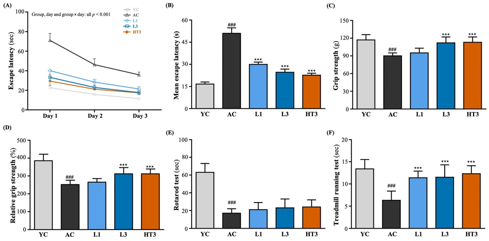 Effects of live and heat-treated Lacticaseibacillus paracasei NB23 on cognitive and physical performance in aged mice.