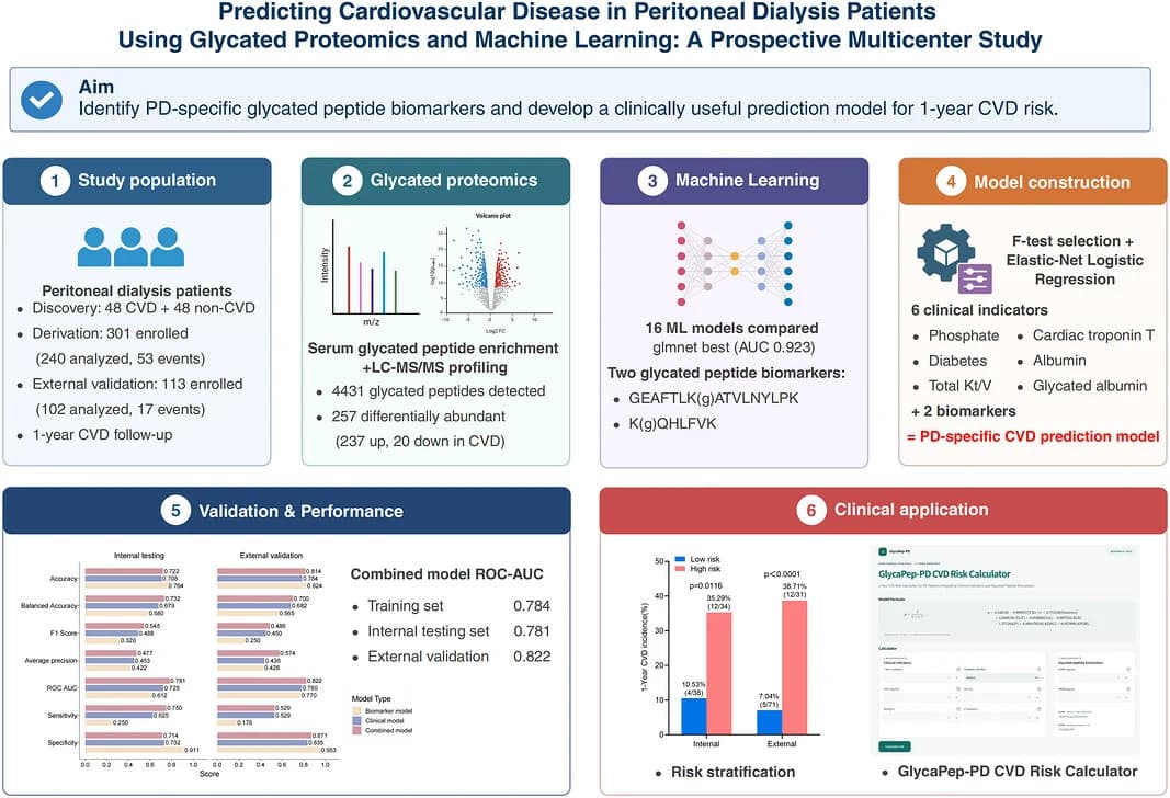 Graphical abstract from Clinical and Translational Medicine