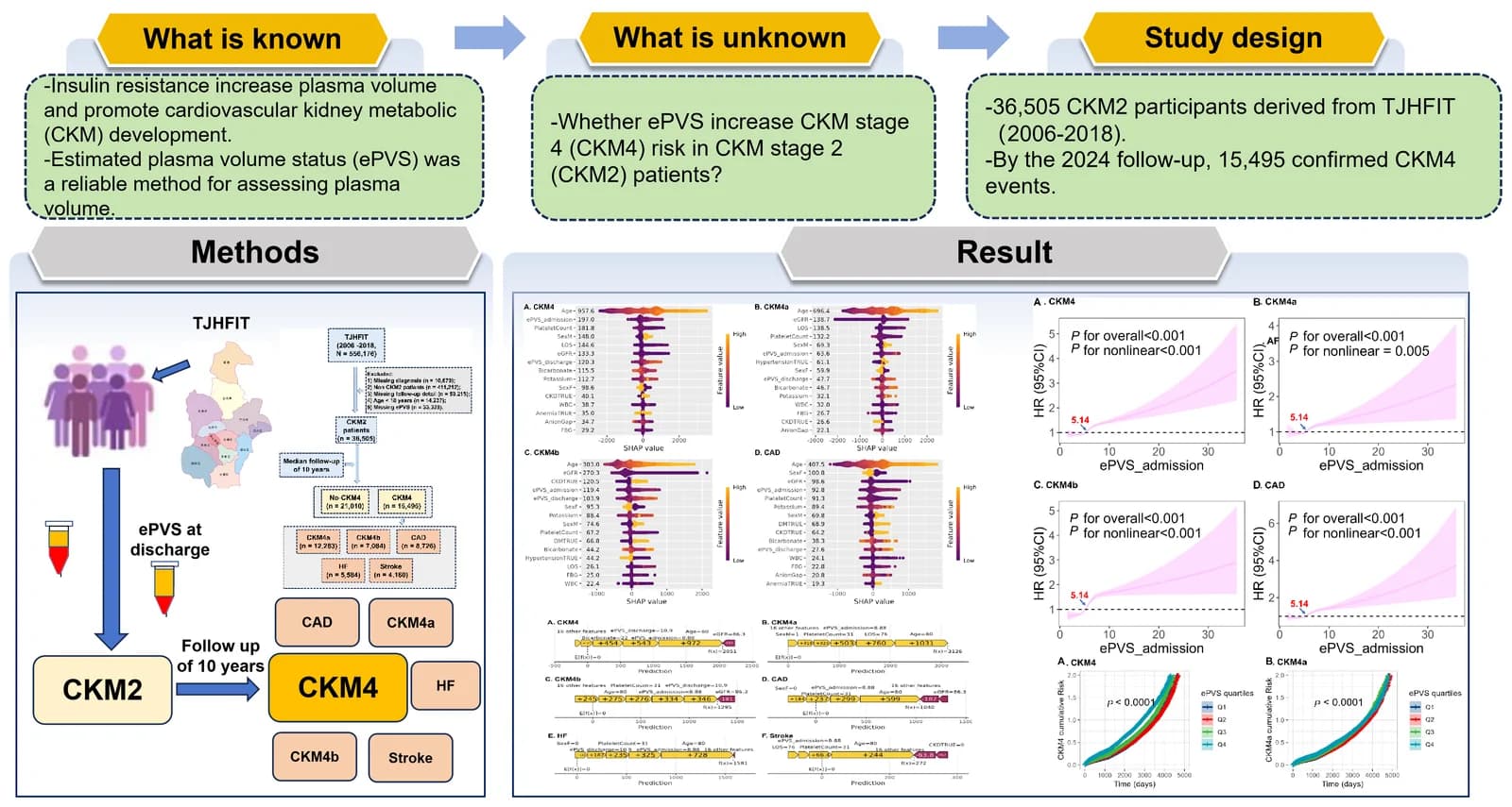 Graphical abstract from Frontiers in Endocrinology