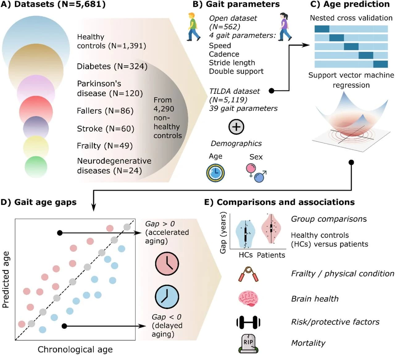 Figure 1. Participants and analytical pipeline.