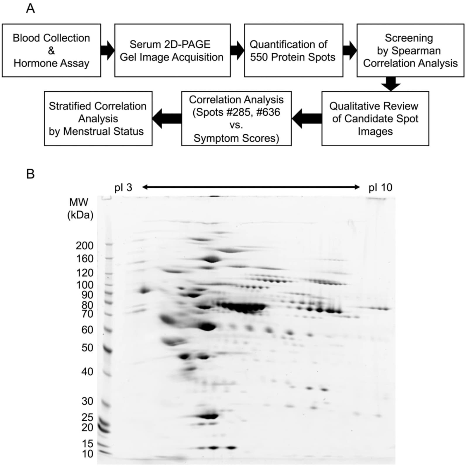 Fig. 1. Overview of the analytical workflow and representative serum 2-DE protein profile.