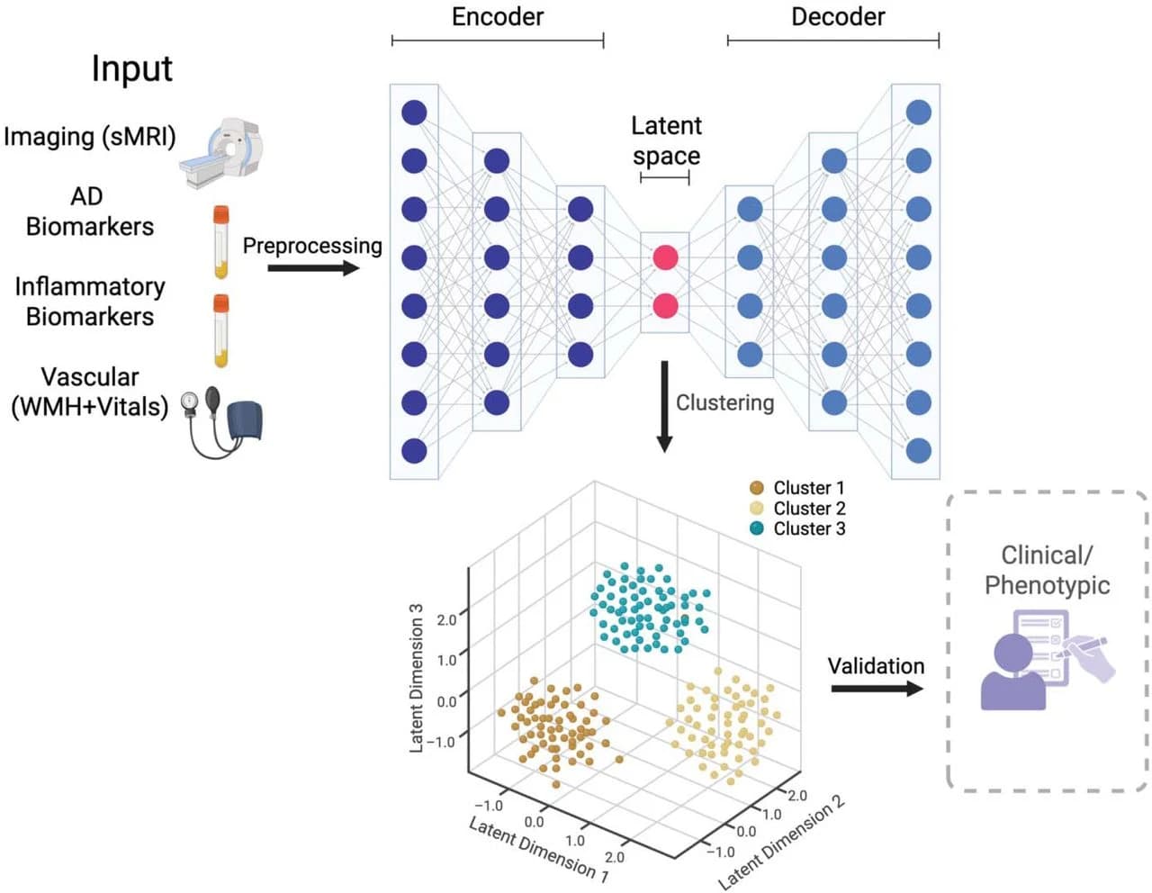 Figure 1. Study Outline. A modified Deep Embedded Clustering (DEC) approach was used to learn a compressed, non-linear latent representation of a set of multimodal neuroimaging (cortical thickness), plasma AD…