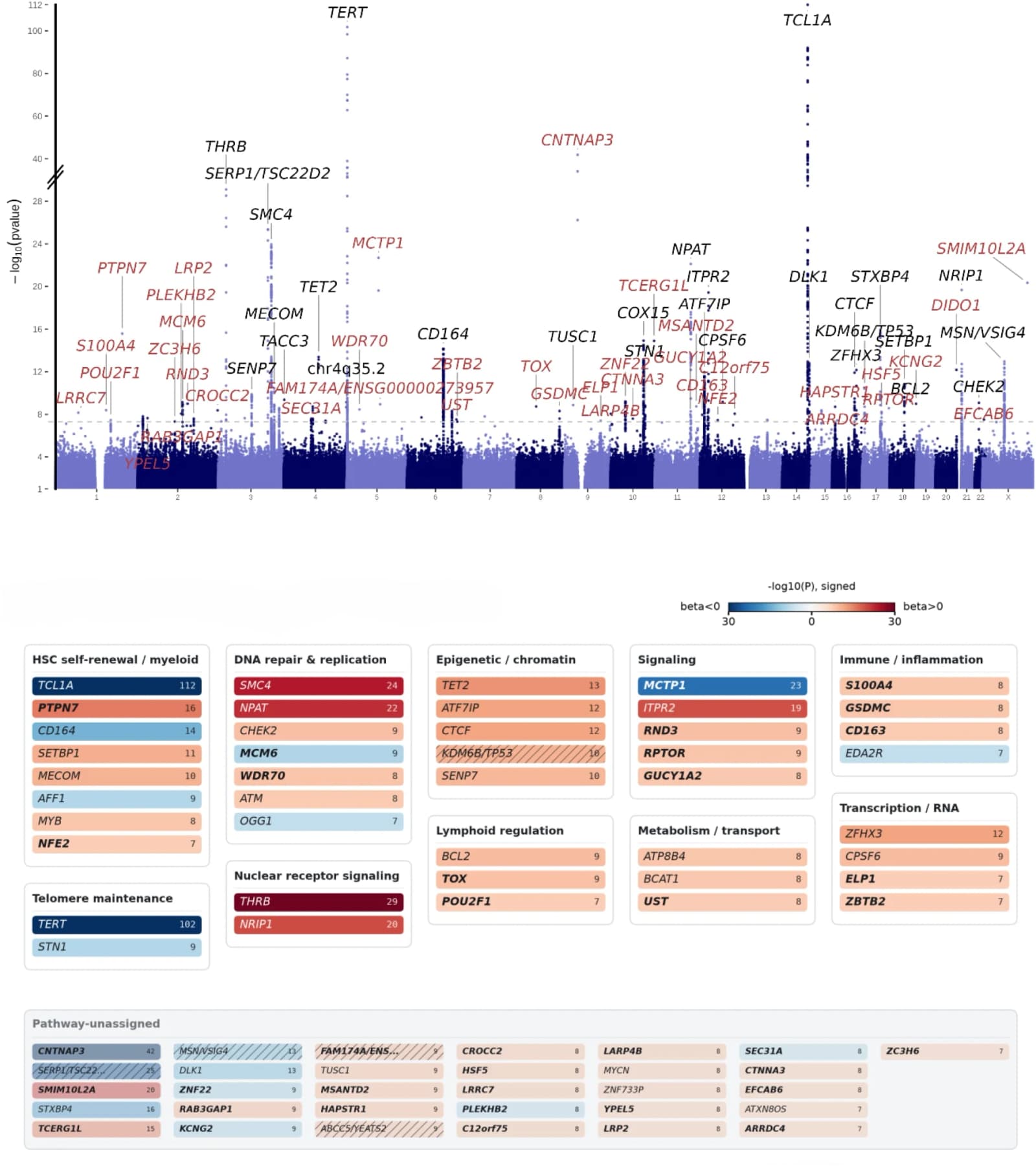 Figure 1. Genome-wide architecture of passenger mutation burden.