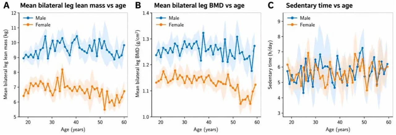 Figure 1. Age-related patterns in leg lean mass, leg bone mineral density, and sedentary time according to sex.