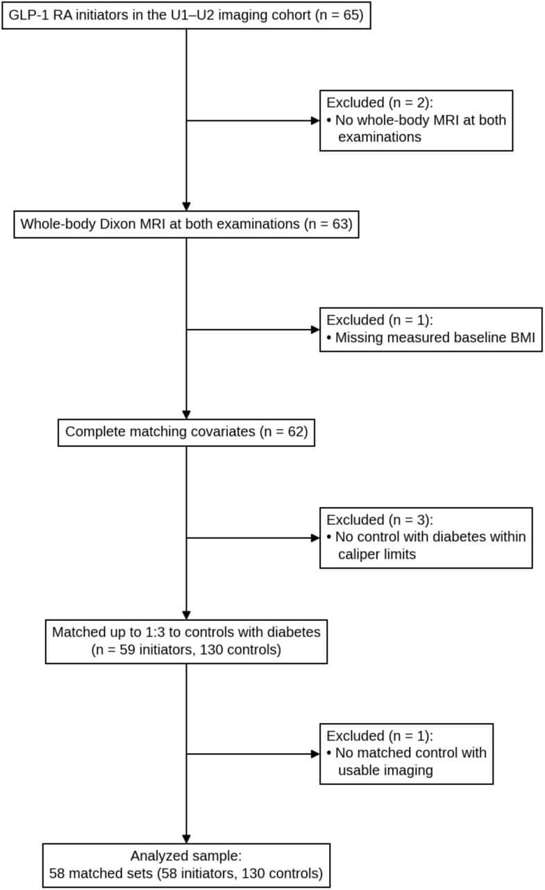 Figure 1. Cohort flow to the analyzed sample.