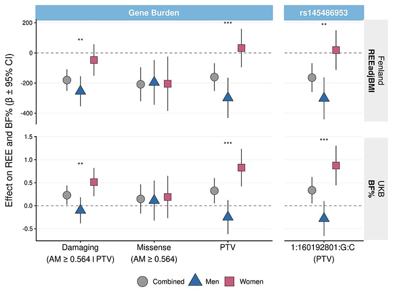 Figure 1. Rare variants in CASQ1 have sex-specific associations with resting energy expenditure and adiposity.