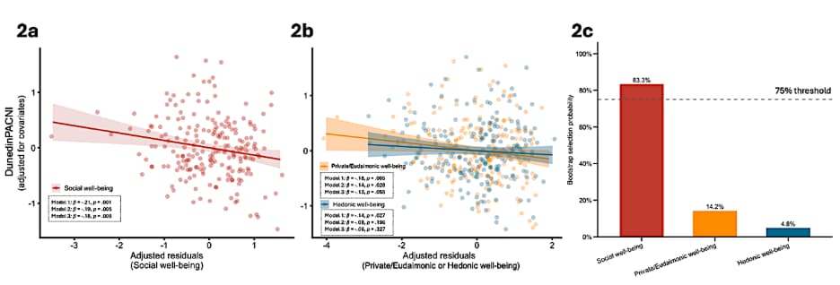 Figure 2. Associations between well-being dimensions and DunedinPACNI estimates.