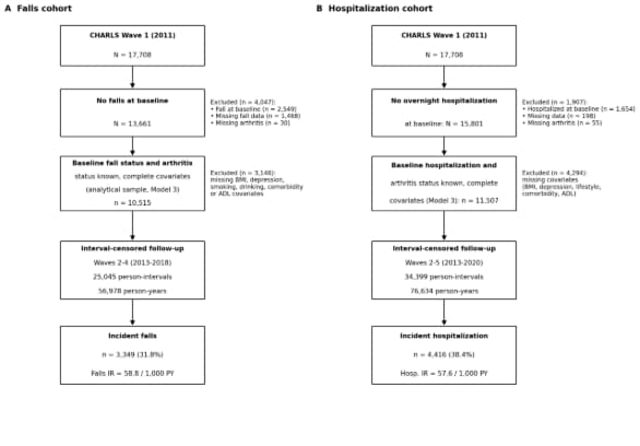 Figure 1. Cohort flow diagrams for the falls cohort (A) and the hospitalization cohort (B).