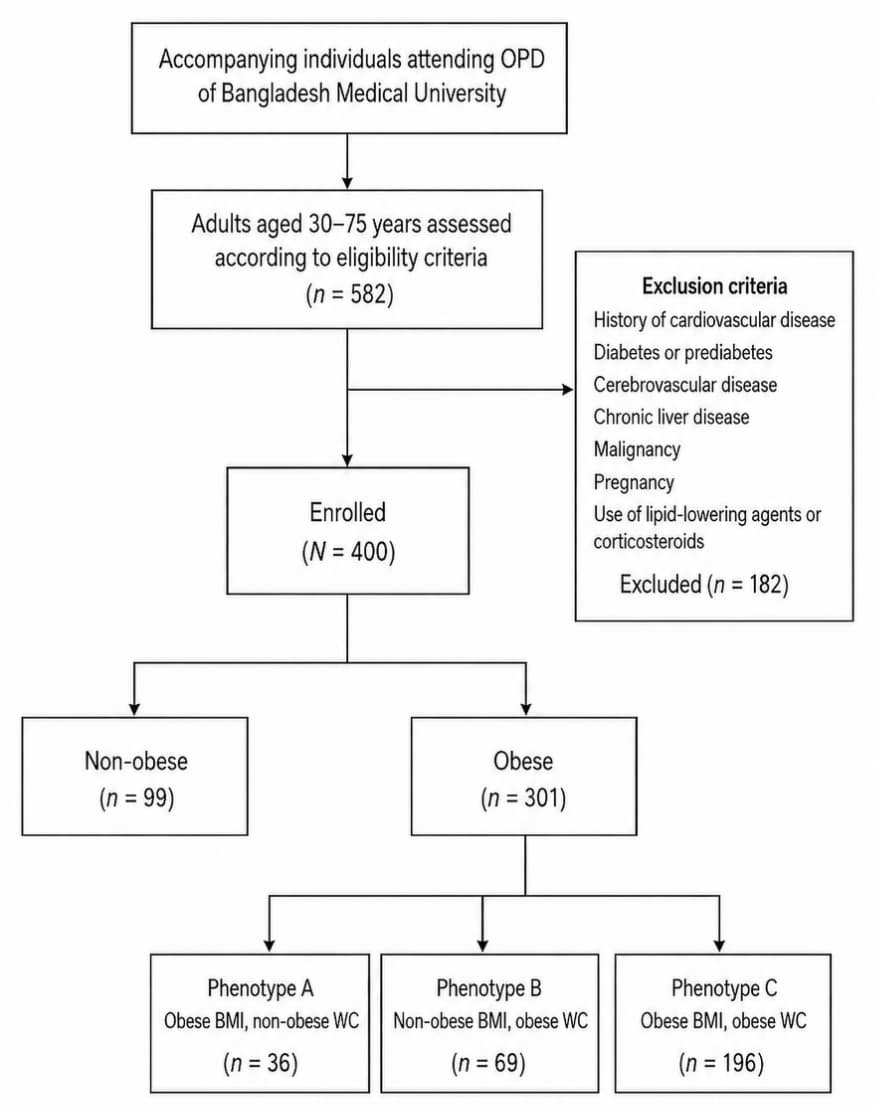 Figure 1. Participant flow