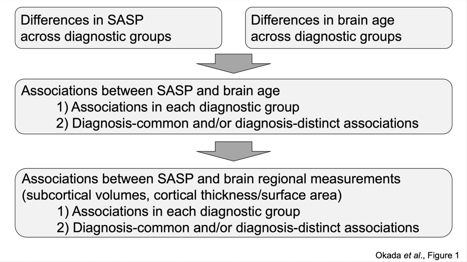 Figure 1. Schematic overview of the statistical analyses performed in the current study.