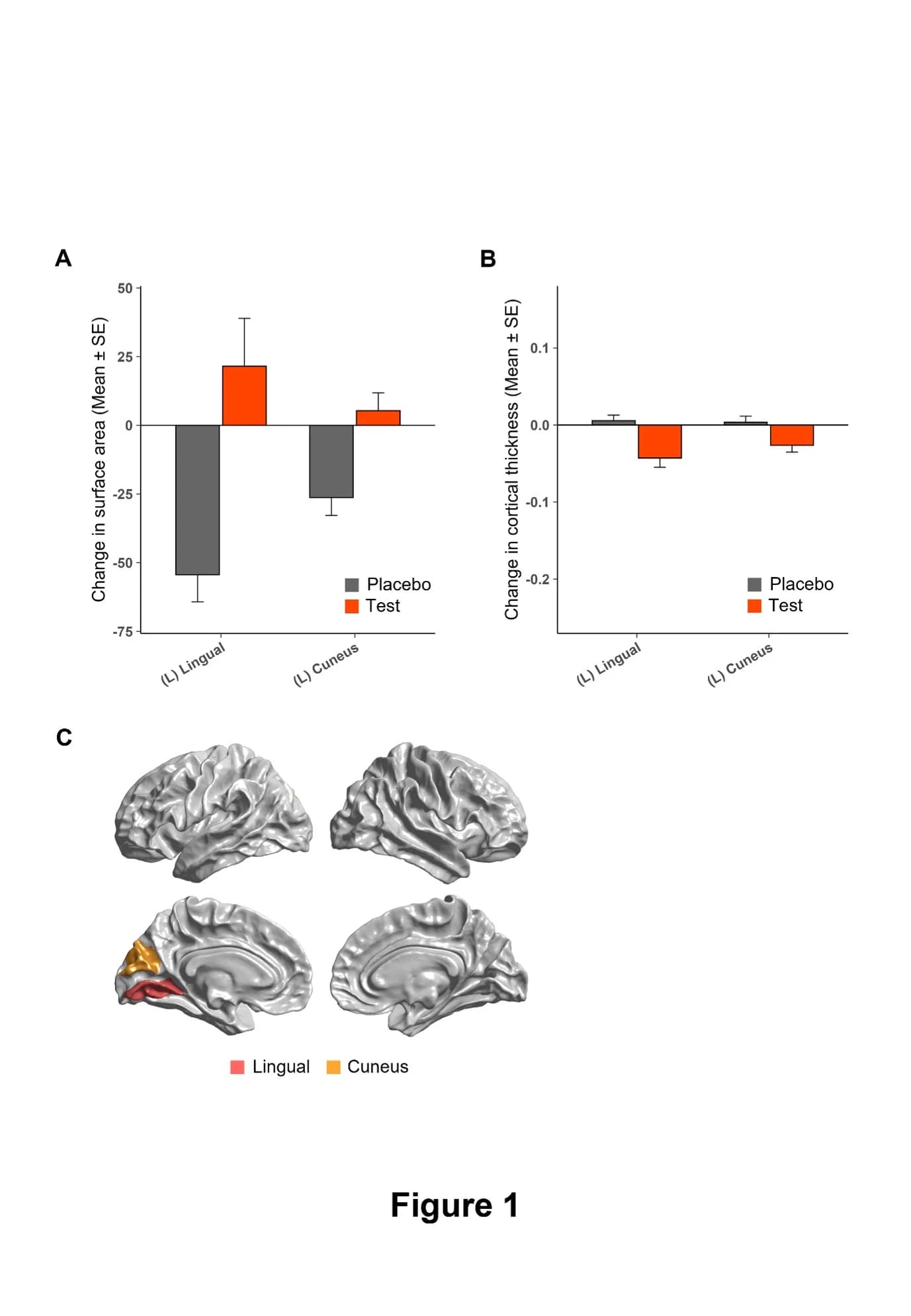 Figure 1. Changes in regional cortical morphology from baseline to 52 weeks in the test and placebo groups.