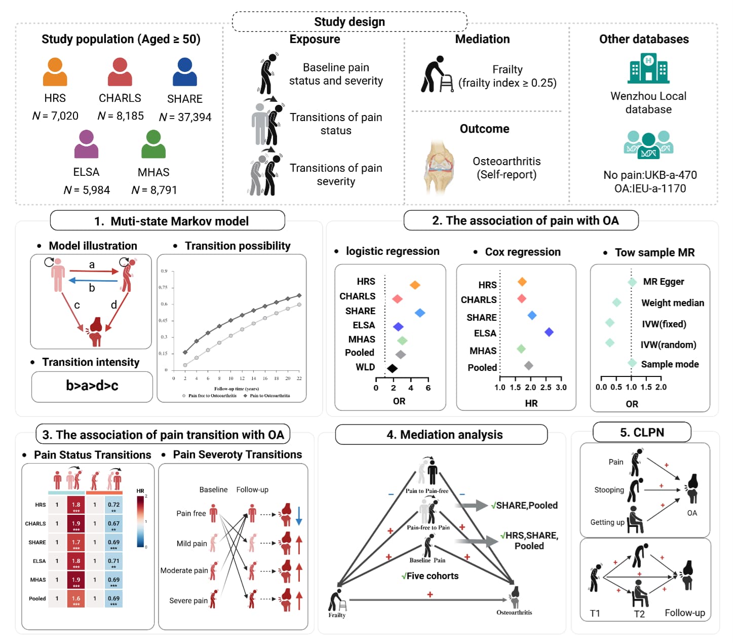 Figure 1. Study workflow Top: This study used data from 67,374 participants aged 50 years and older from the United States, China, the United Kingdom, Mexico, and 28 other European countries.