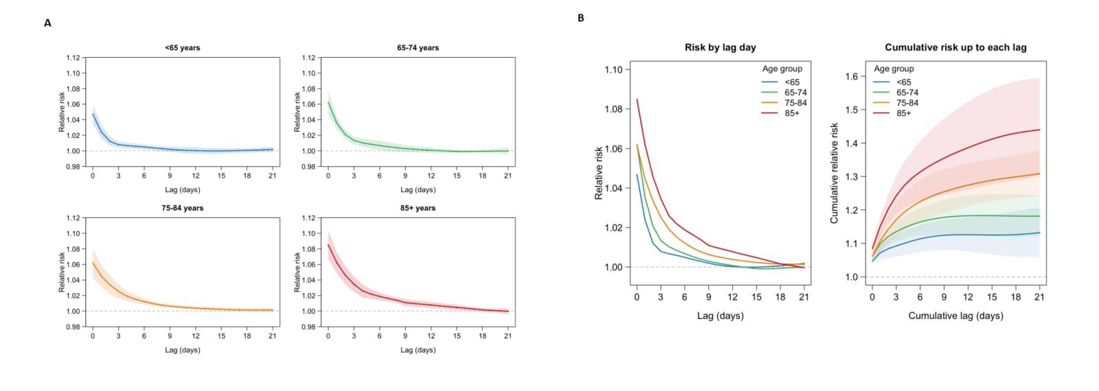 Figure 1. Lag curve by age group, 99th versus 75th percentile of each unit's own temperature, 14 federative units, 2014–2024.
