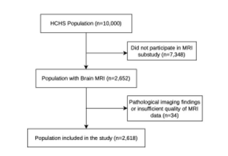 Flowchart of the study population