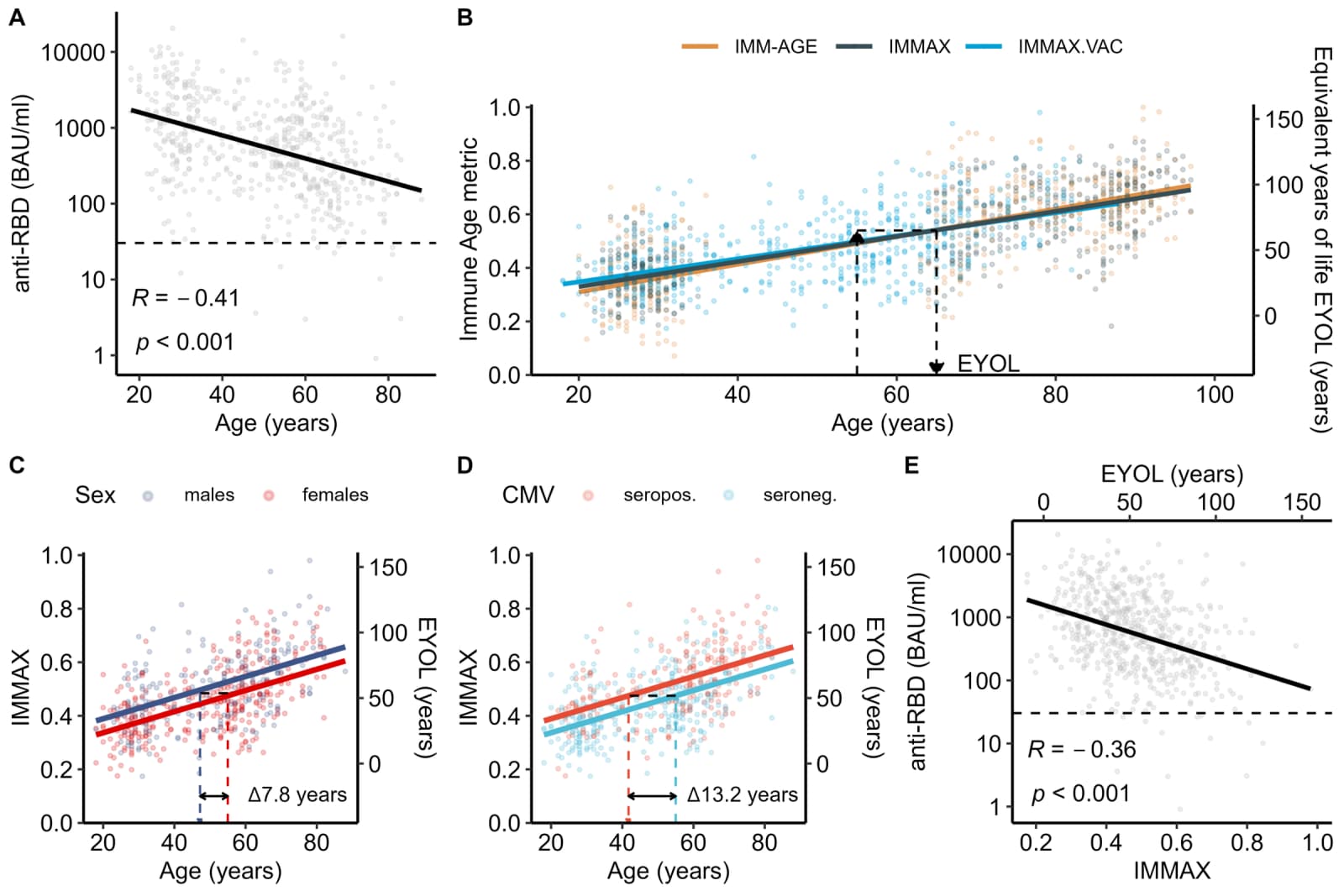 (A) Bivariate association of anti-RBD titers of the eligible observations from the general population (N=567) with chronological age.