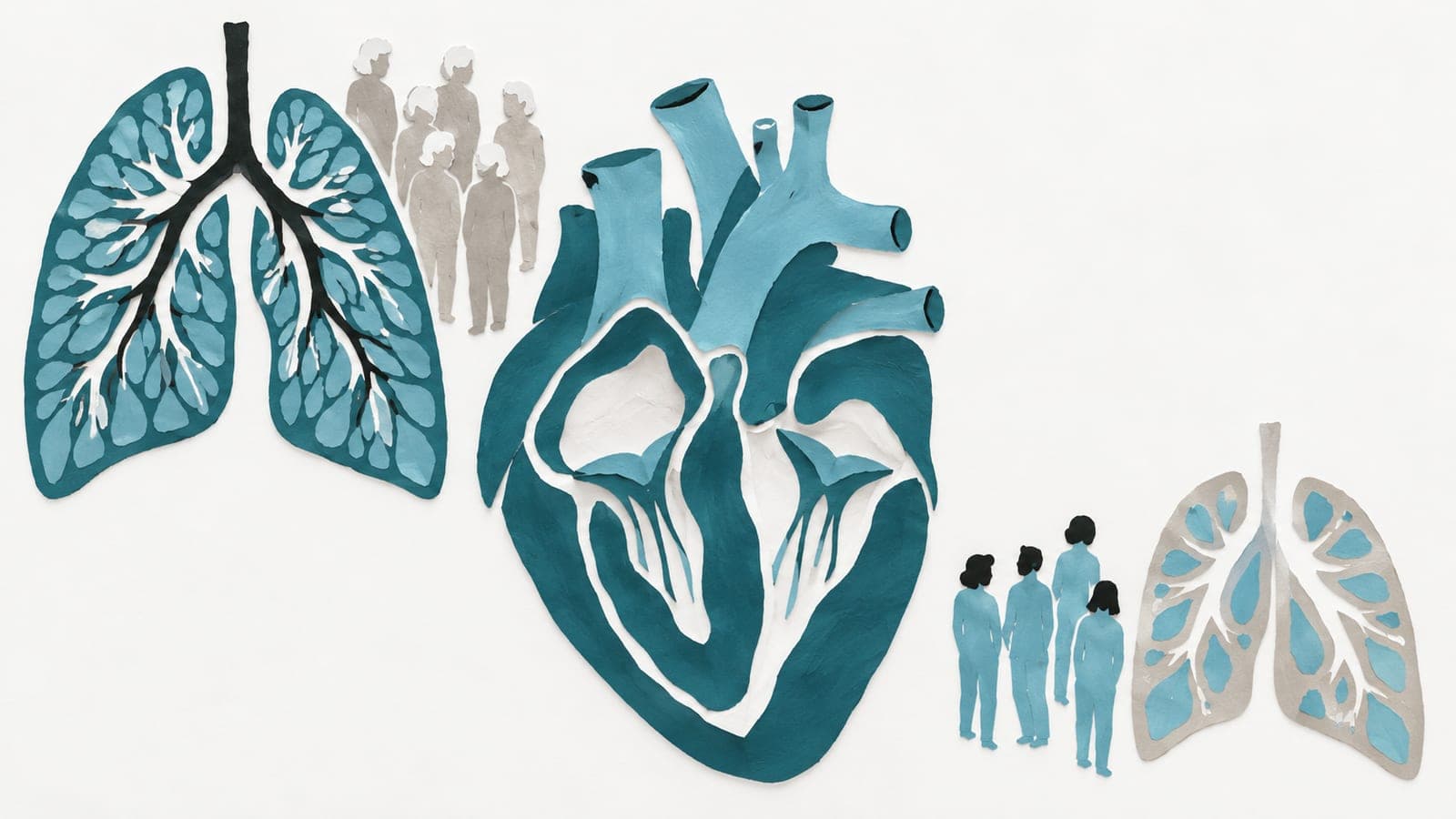 A heart cross-section sits between older people beside densely filled dark blue-green lungs and younger people beside more open gray lungs.