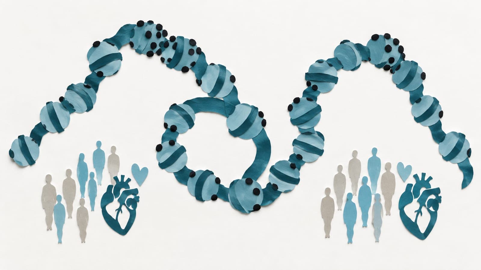A looping chromatin fiber bears dense and sparse methyl marks above similar groups of upright people beside hearts with visible chambers.