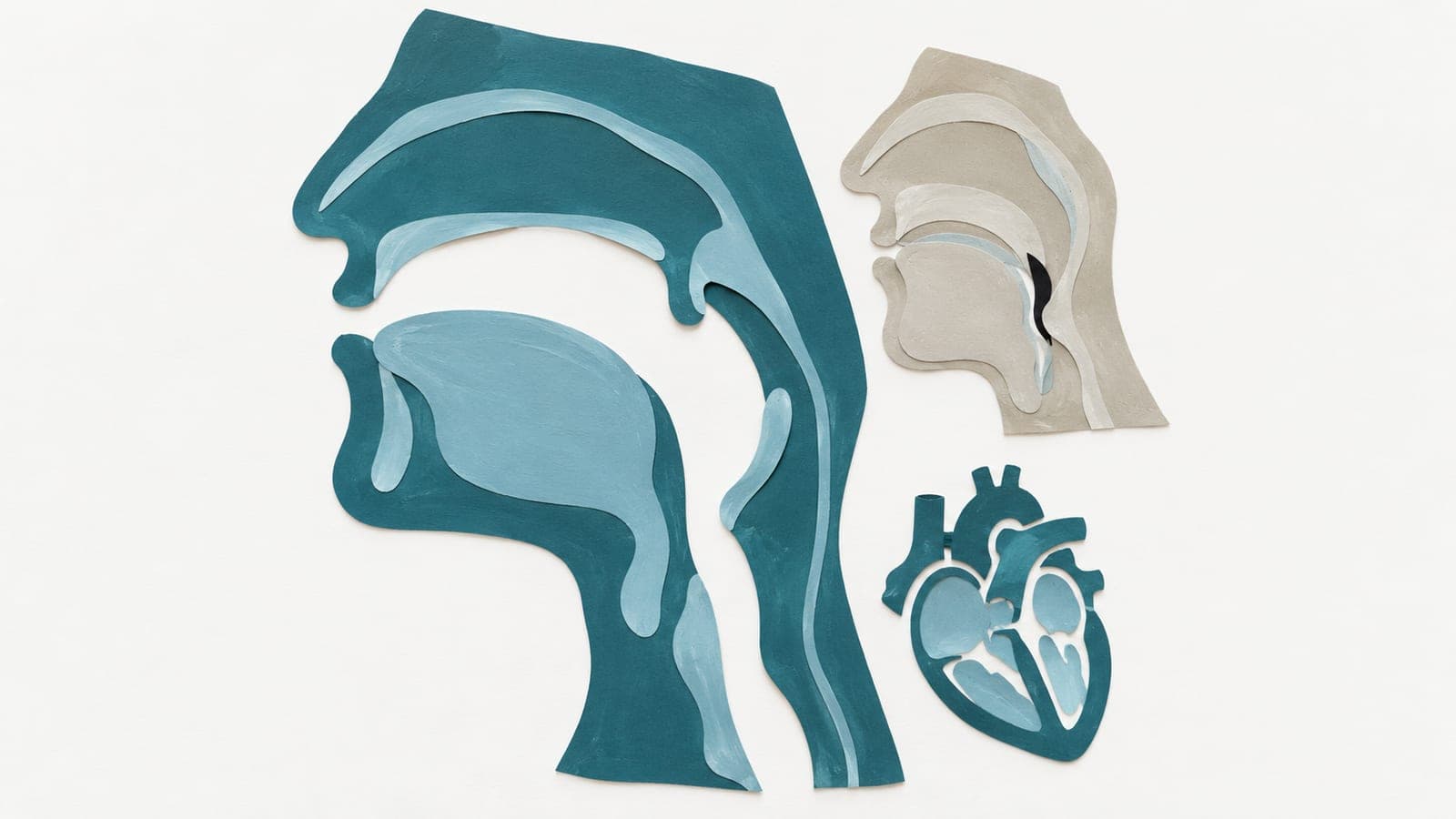 Throat cross-sections show an open airway in dark blue-green beside a narrowed airway in gray, with a small heart below.