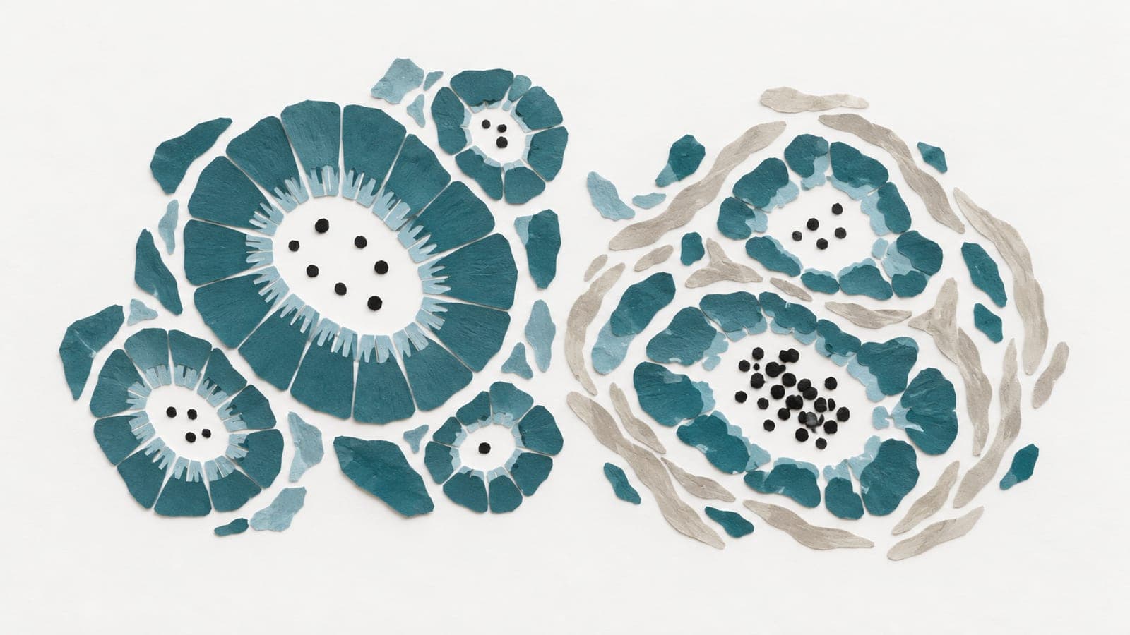 Kidney tubule cross-sections show intact cell rings beside worn, uneven rings surrounded by fibers and containing denser protein particles.