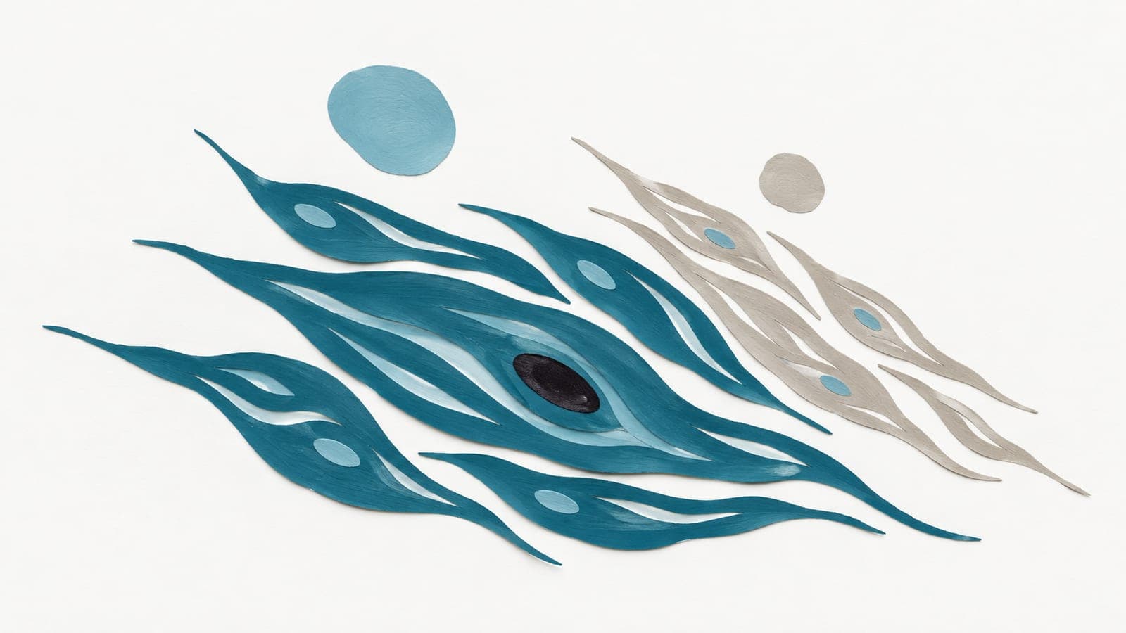 Muscle cells with broad dark blue-green bodies lie beside thinner gray cells, with serum droplets floating above both groups.