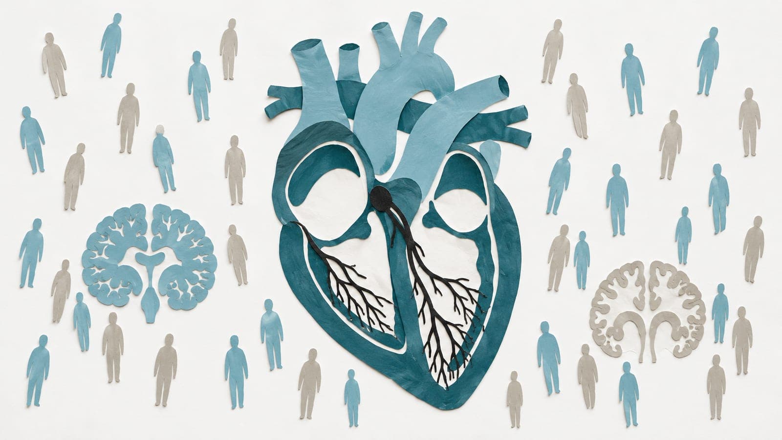 A cutaway heart with branching electrical pathways sits among upright people and brain sections with fuller tissue versus thinner tissue and wider gaps.