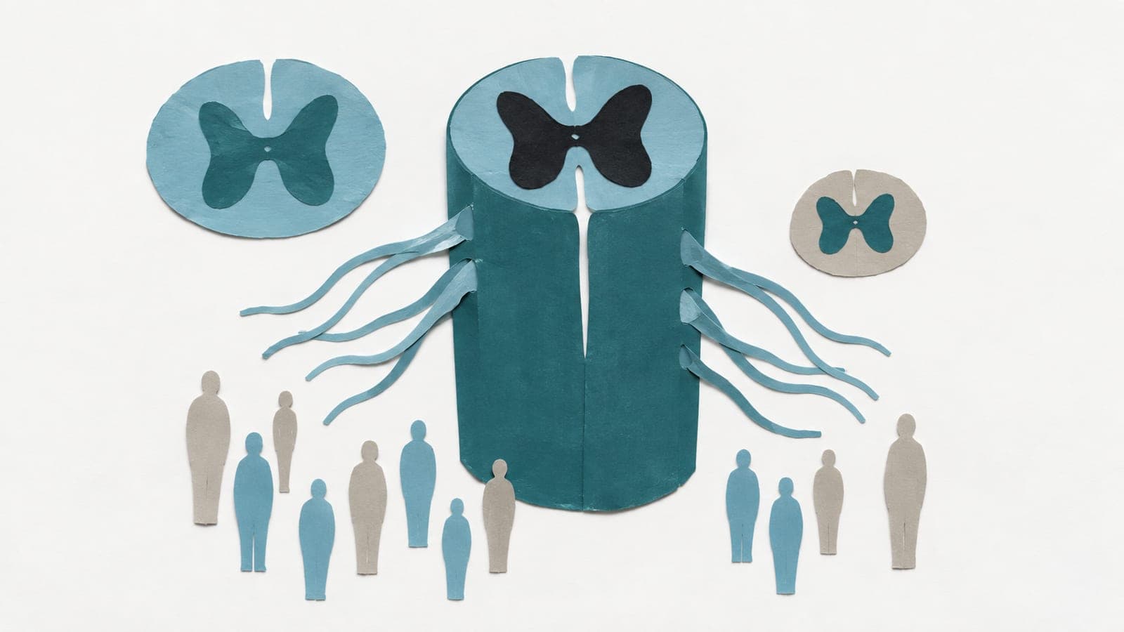 An upper spinal cord cutaway with spreading nerve roots sits beside a fuller blue-green cross-section, a smaller grey section and small upright people.