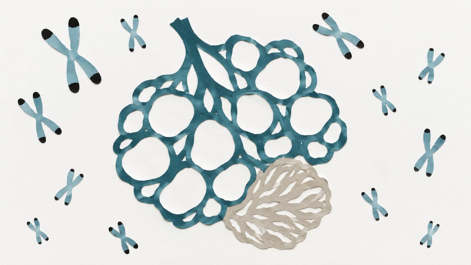 Lung tissue with open air spaces beside dense grey scarring, surrounded by chromosomes with longer and shorter dark tips.
