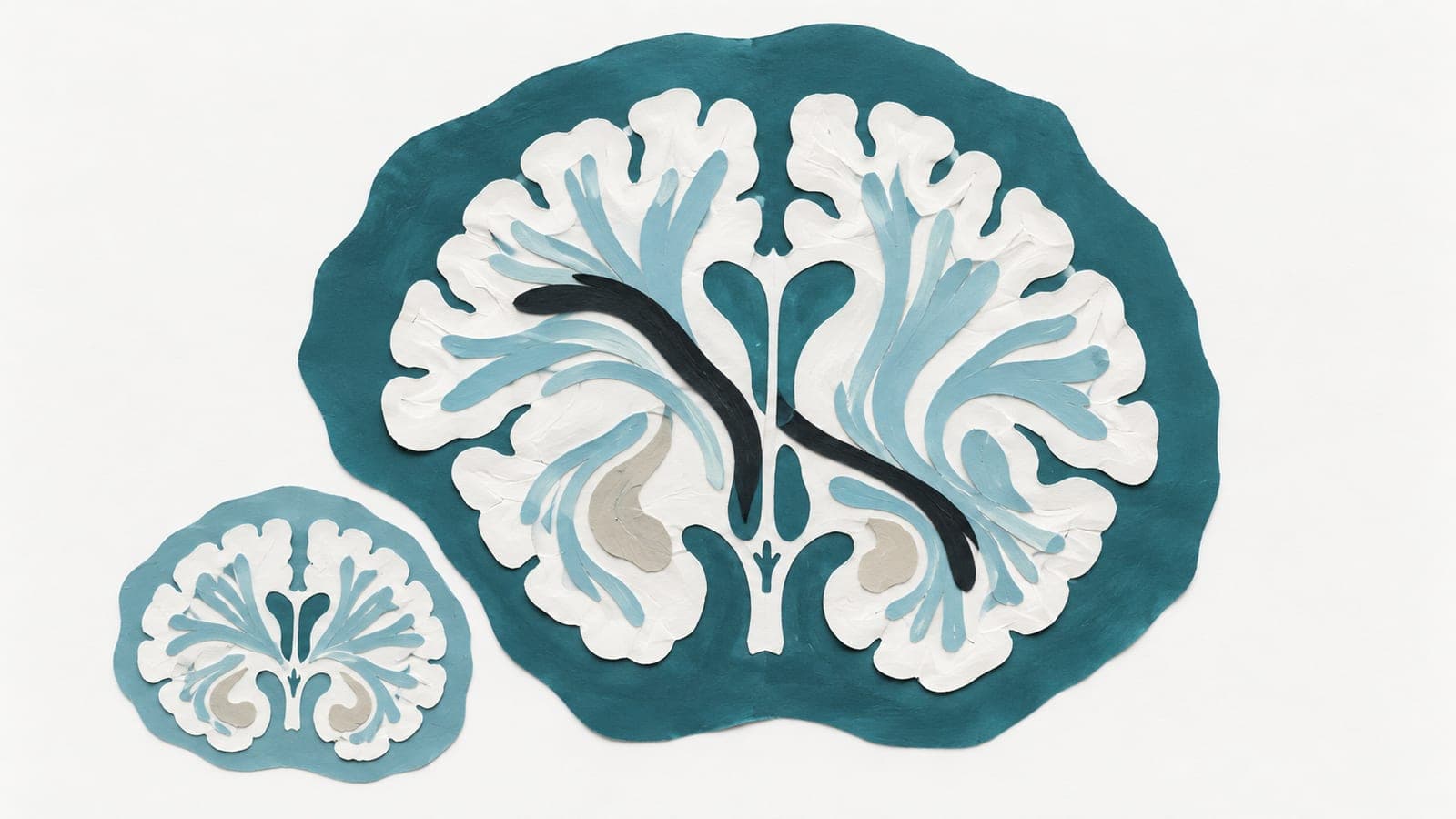 Brain cross-sections show unevenly fanning nerve pathways in a large section beside more orderly, symmetrical pathways in a smaller section.