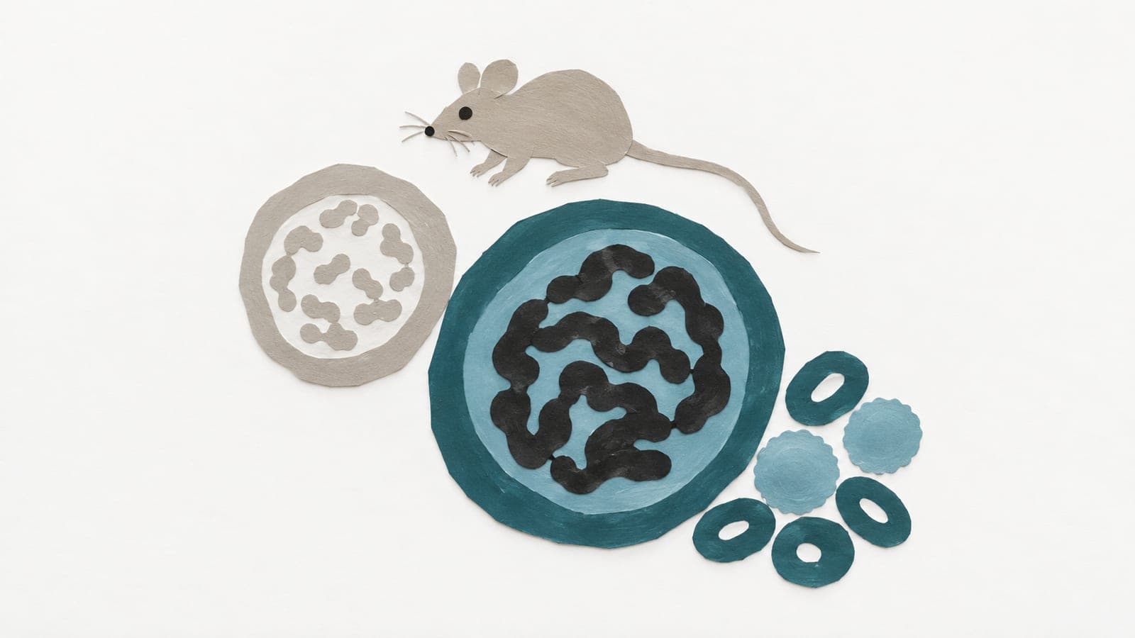 A blood stem cell with compact chromatin sits beside a gray cell with fragmented chromatin, beneath a laboratory mouse and near smaller blood cells.