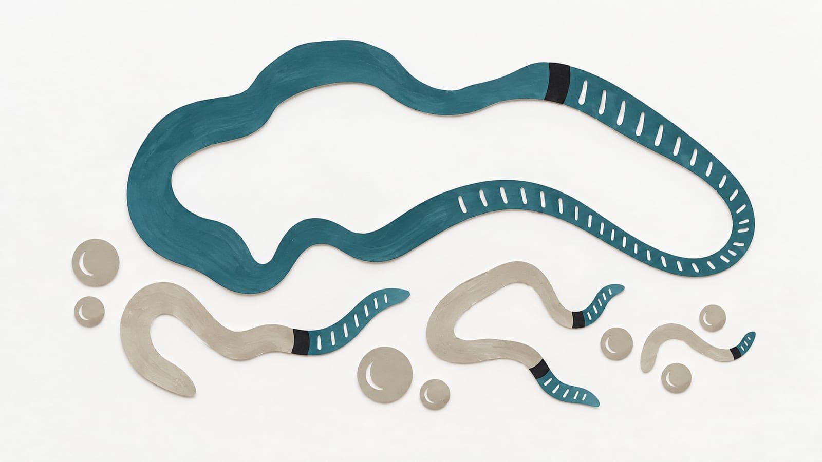 DNA strands have long and short dark blue-green telomere ends marked by black boundaries, with round collection beads scattered nearby.